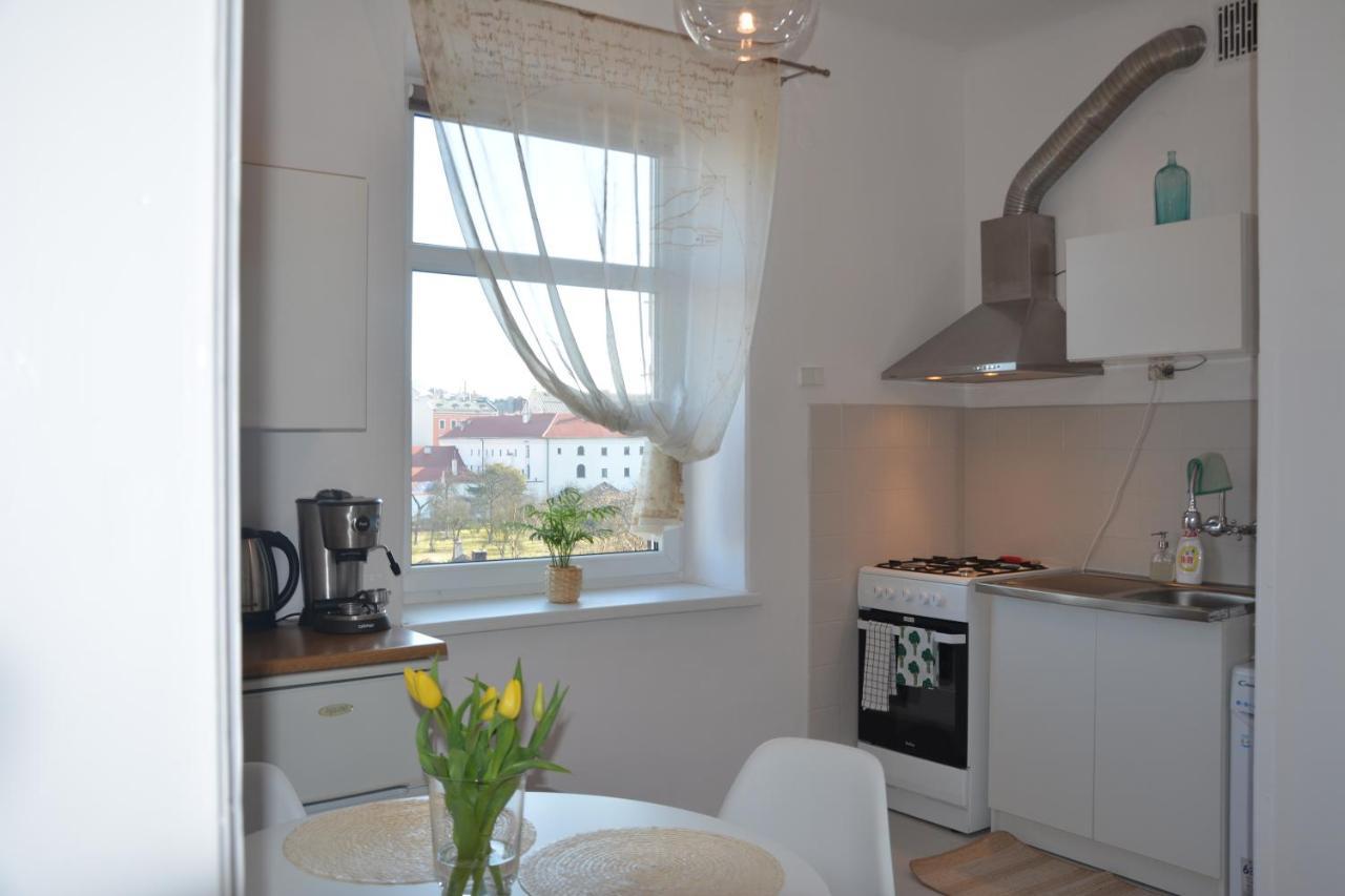 Wanner Studio/Old Town/Center Krasków Eksteriør bilde